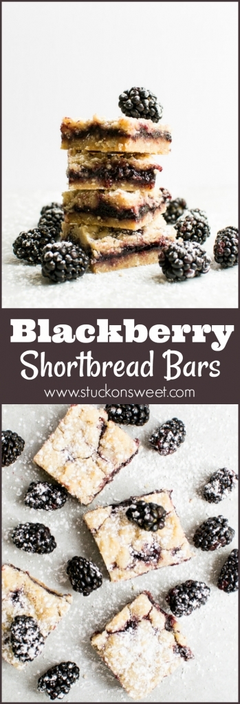 Blackberry Shortbread Bars are insane! These dessert bars are the best dessert I've ever had! This recipe is seriously amazing!
