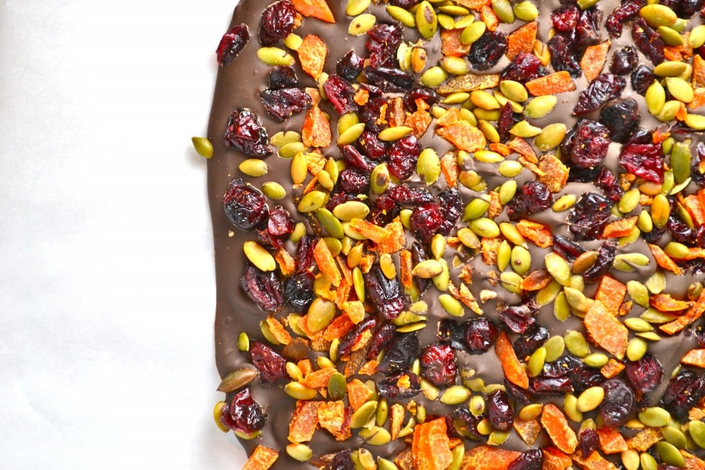 Rich chocolate bark topped with dried cranberries, toasted coconut flakes, and pumpkin seeds, perfect for holiday treats or gift-giving. Handmade sweet chocolate dessert from Stuck On Sweet.