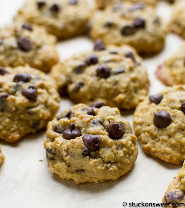 pumpkin oatmeal chocolate chip cookies