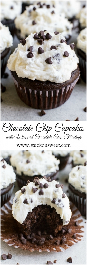 Delicious chocolate chip cupcakes with whipped chocolate chip frosting, perfect for dessert or special occasions.