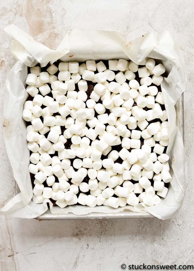 Mini marshmallows in a baking dish, perfect for sweet summer treats and desserts. Soft, fluffy, and melt-in-your-mouth marshmallows ideal for s'mores, hot cocoa, and baking recipes.