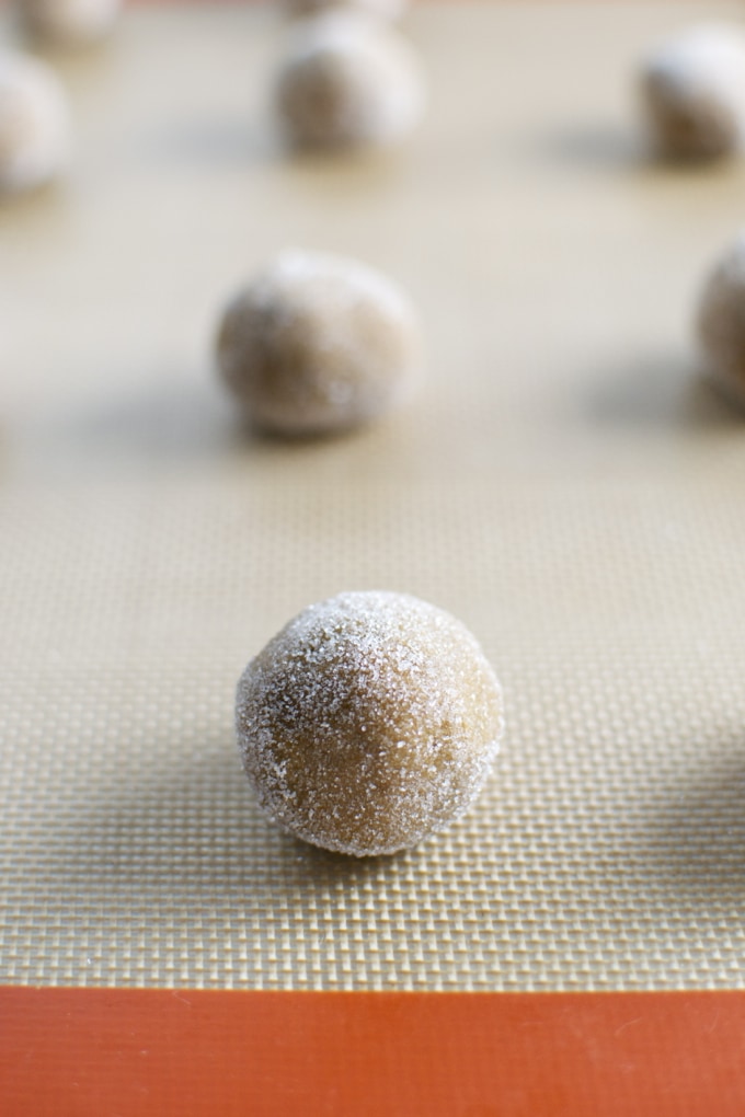 chewy ginger molasses sugar-coated cookie dough balls for baking, ready to be baked into delicious treats at Stuck On Sweet.