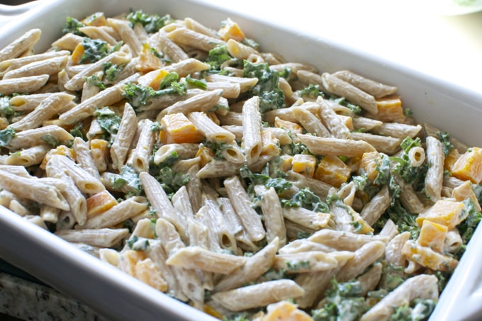 Creamy pasta salad with shredded chicken, cheddar cheese, and fresh herbs served in a white dish. Perfect for potlucks, picnics, or quick weeknight dinners.