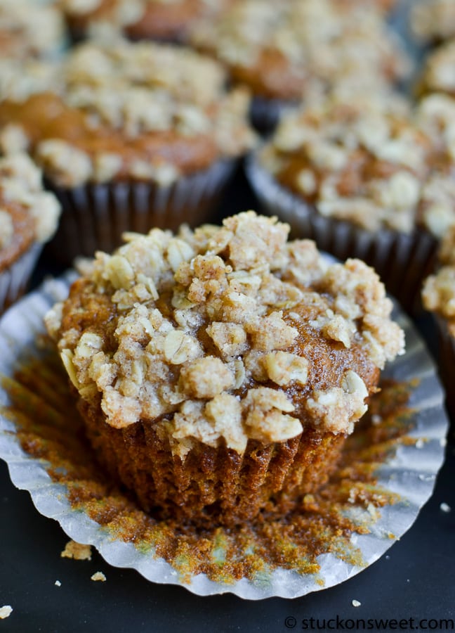 Rich crumb coffee cake muffin topped with streusel crumb topping and cinnamon sugar, bakery breakfast treat, moist and freshly baked, delicious homemade dessert, sweet baked good, Stuck On Sweet.