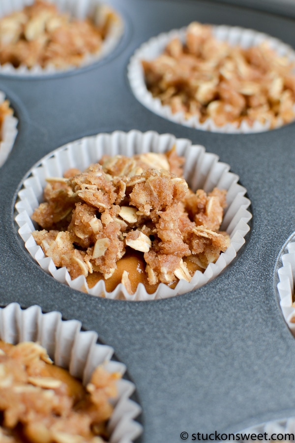 Pumpkin Raisin Muffins