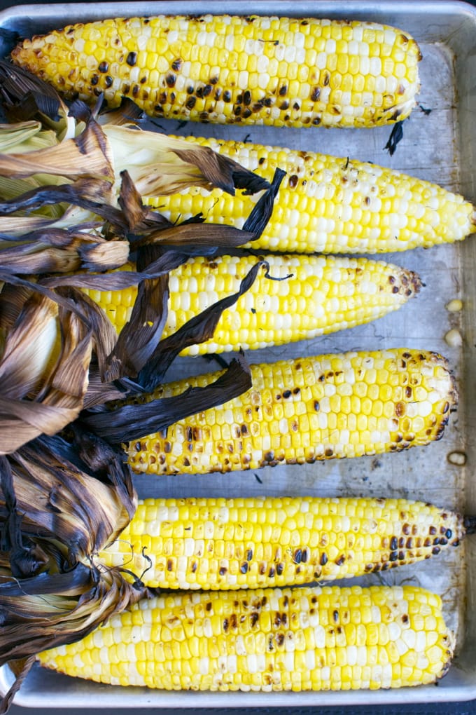 Charred grilled corn on the cob with husks, freshly cooked, on a baking sheet.
