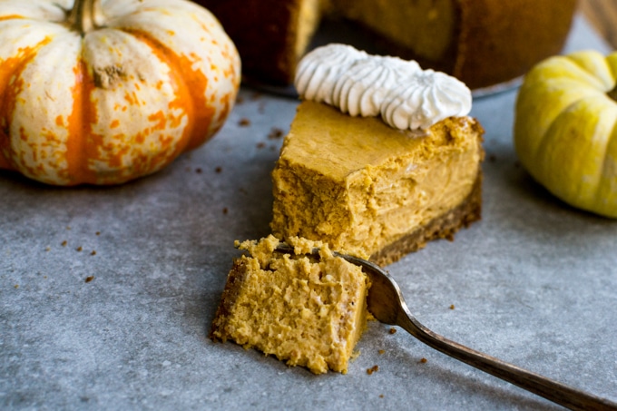 Creamy pumpkin cheesecake slice with whipped topping, surrounded by decorative mini pumpkins for fall. Perfect for seasonal dessert favorites.