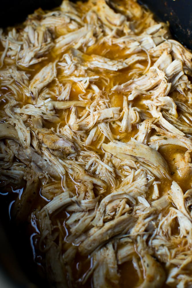 Shredded cooked chicken in flavorful chicken broth, close-up image.