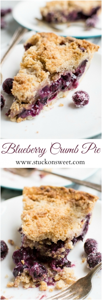 Golden blueberry crumb pie with a crumb topping and fresh berries. Perfect for summer desserts, featuring flaky crust and sweet, tangy blueberry filling. Great for gatherings and family desserts.