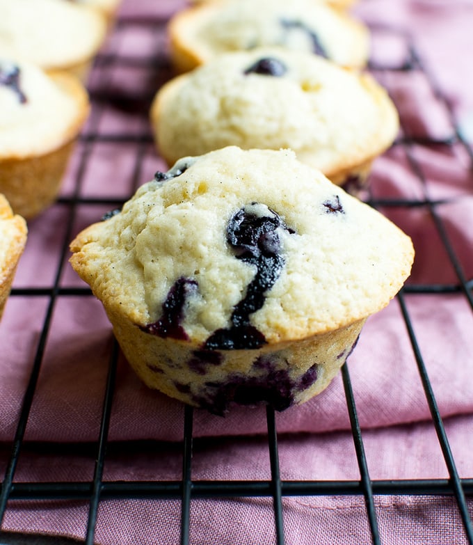 Freshly baked blueberry muffins with blueberries in a golden topping, on a cooling rack. Perfect for breakfast, snacking, or dessert, showcasing delicious baked goods from Stuck On Sweet.