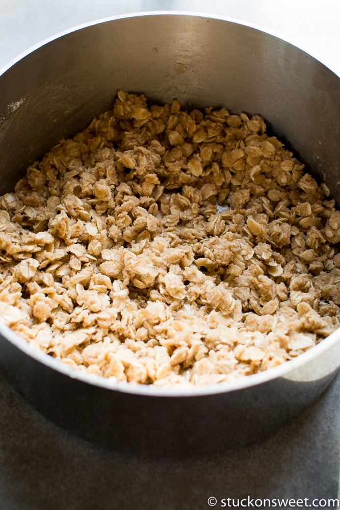 Finely chopped cooked chicken in a mixing bowl for delicious sweet and savory recipes.
