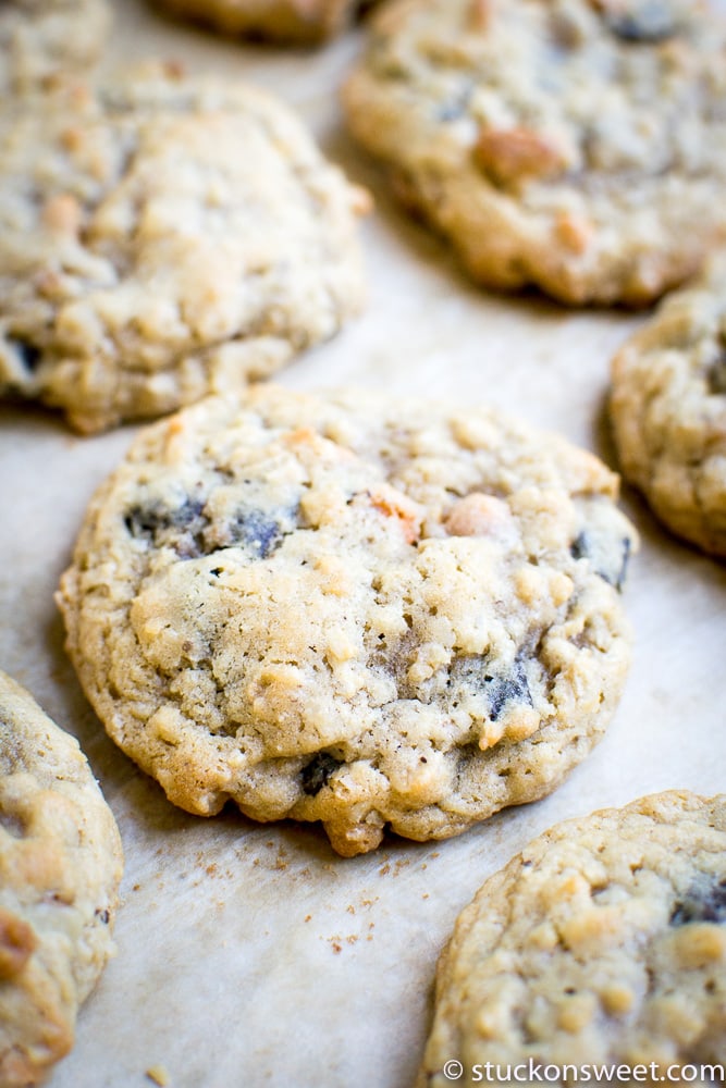 Fudgy oatmeal raisin cookies with a chewy texture and golden-brown edges, fresh from the oven on parchment paper. Perfect for homemade cookie lovers and snack enthusiasts.