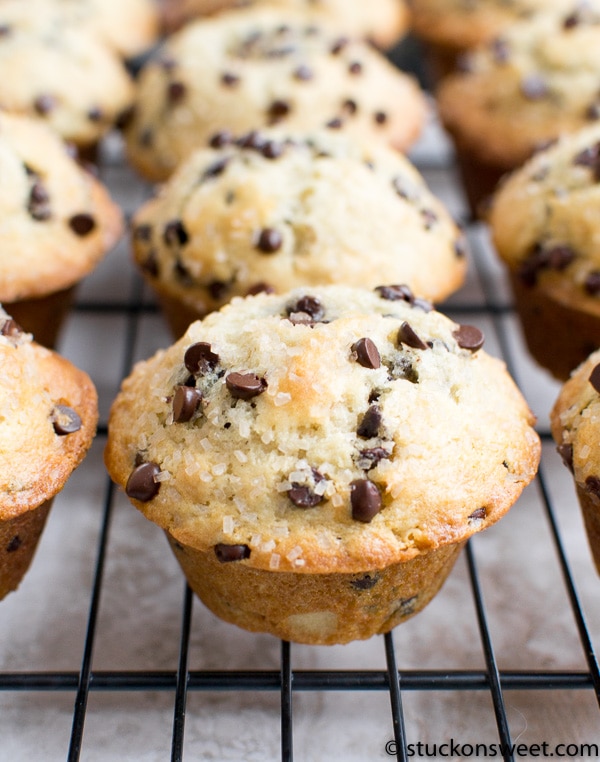 chocolate chip muffins