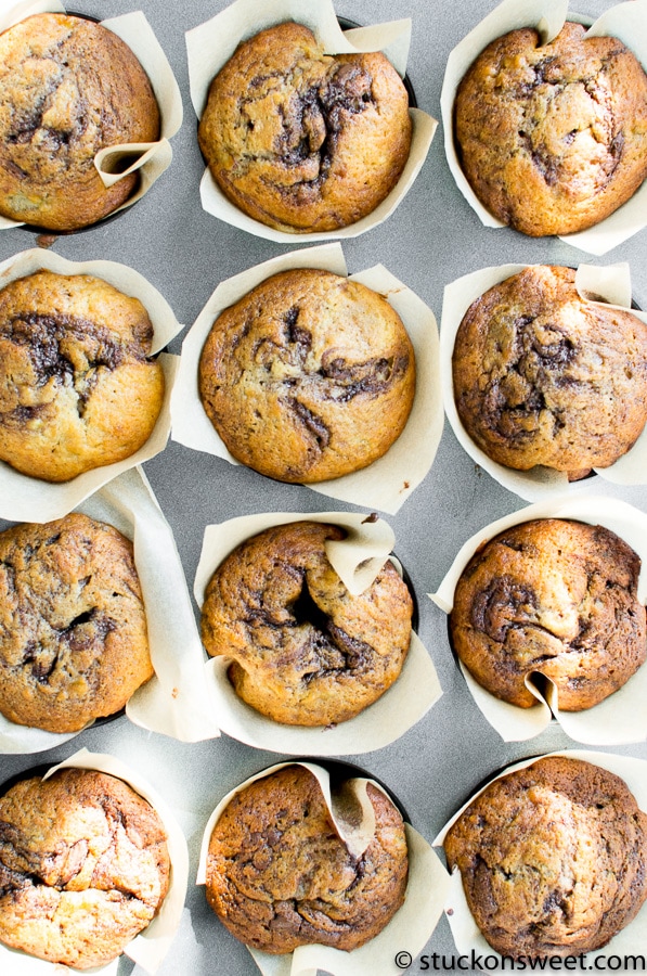 Freshly baked chocolate chip muffins in white paper liners on a gray baking sheet.