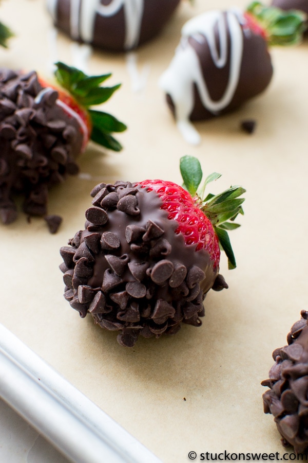 Fresh strawberry dipped in rich chocolate and chocolate chips, perfect for sweet treats and dessert recipes.