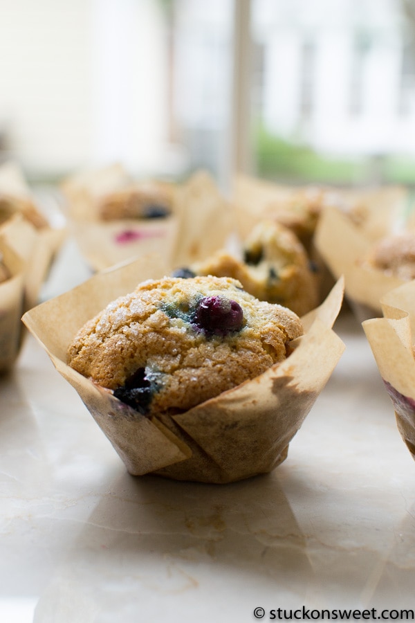 Golden blueberry muffins in parchment paper cups on a marble countertop, fresh baked and ready to enjoy.
