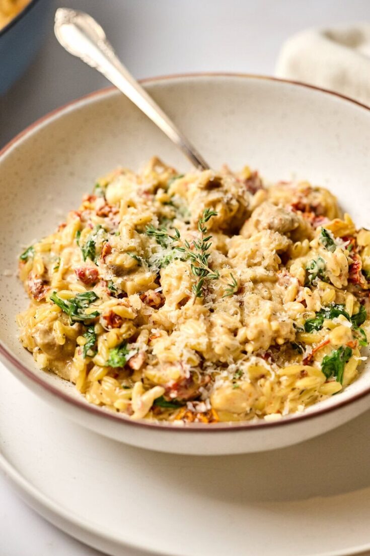 Deep close-up of a bowl of creamy marry me chicken orzo garnished with herbs, cheese, and vegetables. Perfect comfort food for dinner, featuring tender chicken, pasta, and a rich, flavorful sauce.