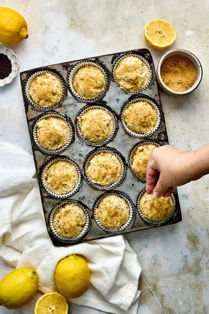 Freshly baked lemon sugar muffins in a muffin tin with lemons and lemon zest on a light surface, perfect for lemon lovers and sweet breakfast treats.